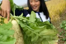 幫留守老人做農活