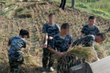 農家勞動，感悟生活，洗滌心
