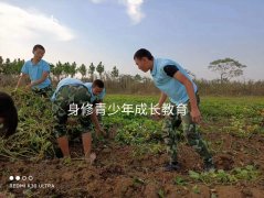 親子鏈接